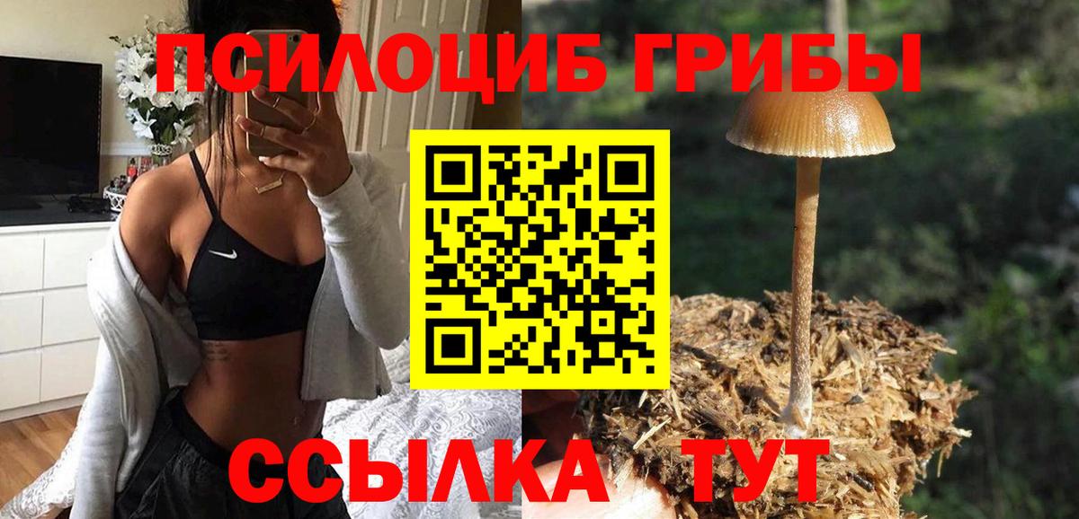 Галлюциногенные грибы мицелий  Псилоцибиновые грибы GOLDEN TEACHER  наркота  Вход с VPN  Нижний Тагил 